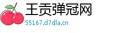 王贡弹冠网
